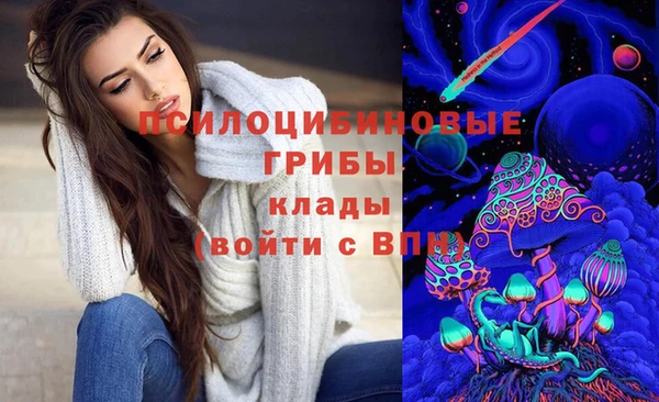 прущие крисы Аркадак